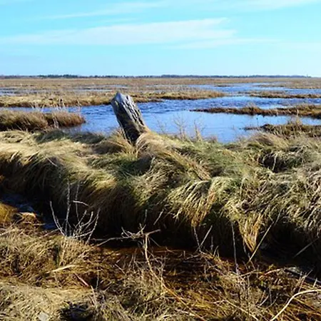 Haus-hayer-whg-07 Apartman *